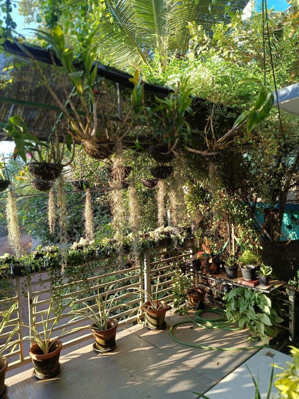 Chaithritha Ladies Homestay Thiruvananthapuram Extérieur photo