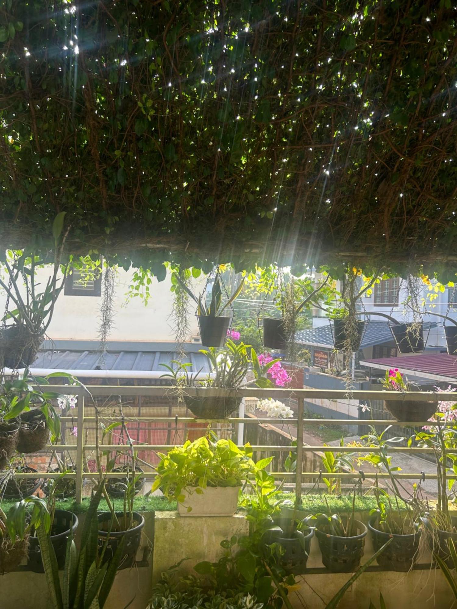 Chaithritha Ladies Homestay Thiruvananthapuram Extérieur photo